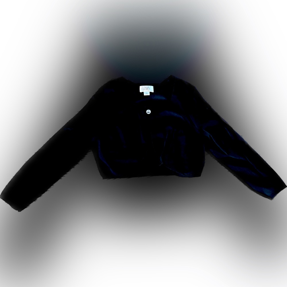 Ann Taylor Loft black crop sweater